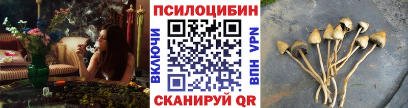 Галлюциногенные грибы GOLDEN TEACHER  мега рабочий сайт  darknet формула  Черепаново 